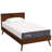 Modway Mila 8" Mattress-48196621