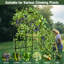 Treillis arqué pour jardin extérieur pour plante grimpante-556194020