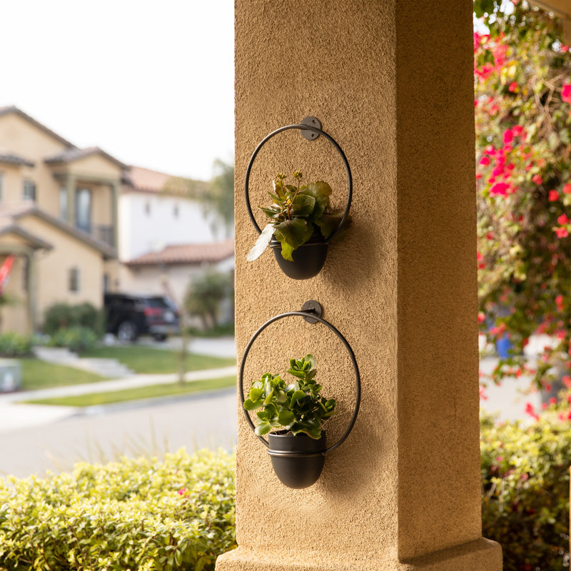 Schunemunk Iron 2-Piece Wall Planter Set