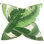 Aloe Cotton Floral Sham