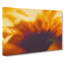 Petals Of A Flower - Wrapped Canvas-55366413