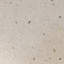 SeaTile 12" x 12" Seashell Wall & Floor Tile