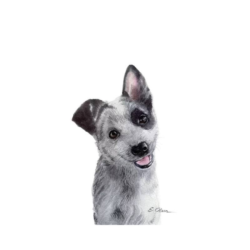 Blue Heeler Puppy - Wrapped Canvas Painting, 20.32 cm H x 30.48 cm W