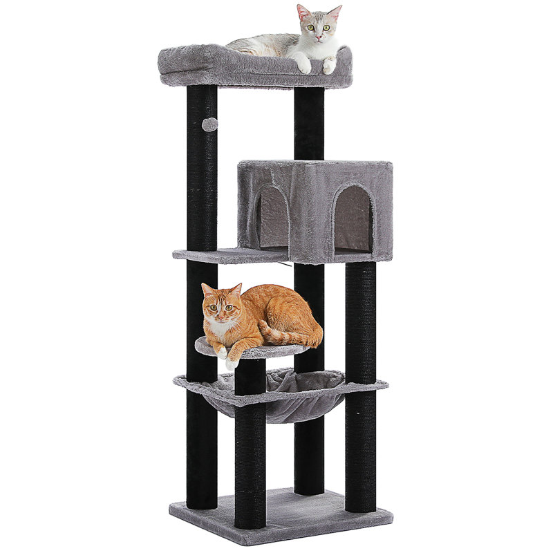 Arbre à chat, Gris