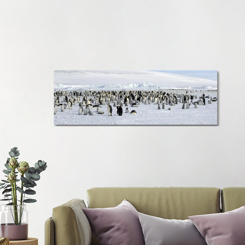 Emperor Penguins Colony at Snow Covered Landscape, Snow Hill Island, Antarctica 1 Piece Wrapped Canvas Panoramic Wall Art