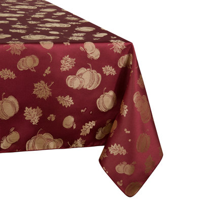 Nappe Leighlynn