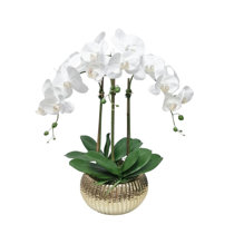 Wayfair  Gold Orchid Faux Flowers You'll Love in 2024