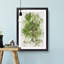 Leaf Lines - Framed Print-56741351-56741352