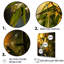 " Bamboo Sunset Photography I "-95900739-95900741