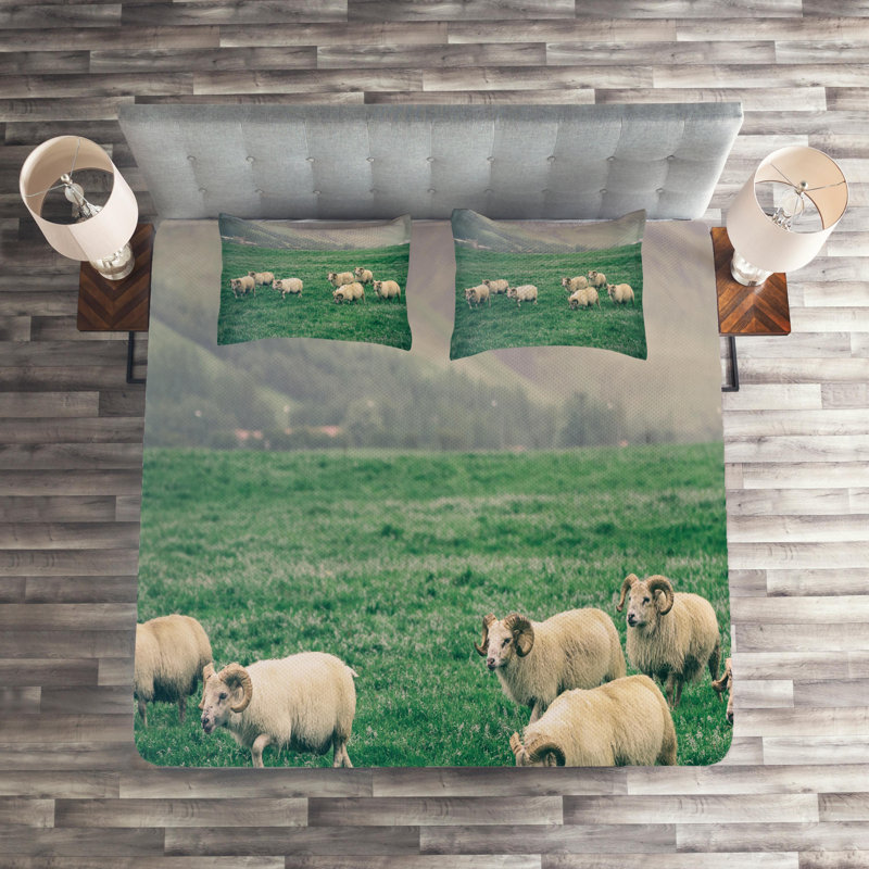 Coverlet, King Bedspread + 2 Shams