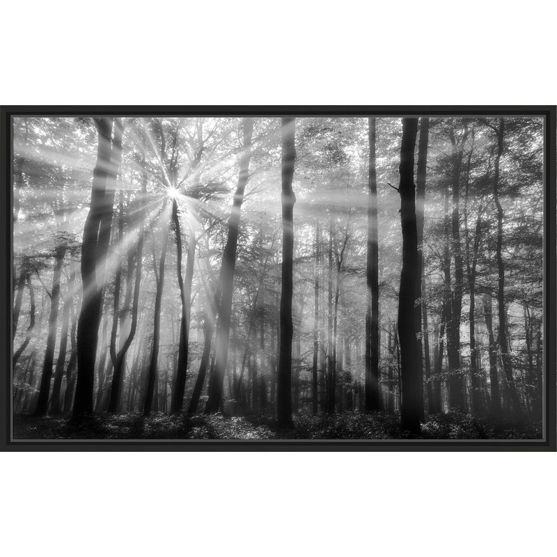 Breaking Through - photographie, Cadre flottant noir, H 27,5 po x l 43,5 po x P 2 po