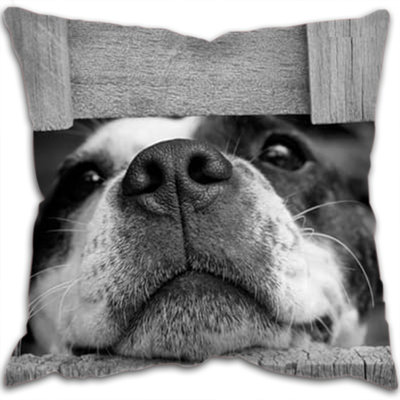 Goku Scatter Cushion