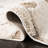 Deanna Performance Floral Rug-106979805