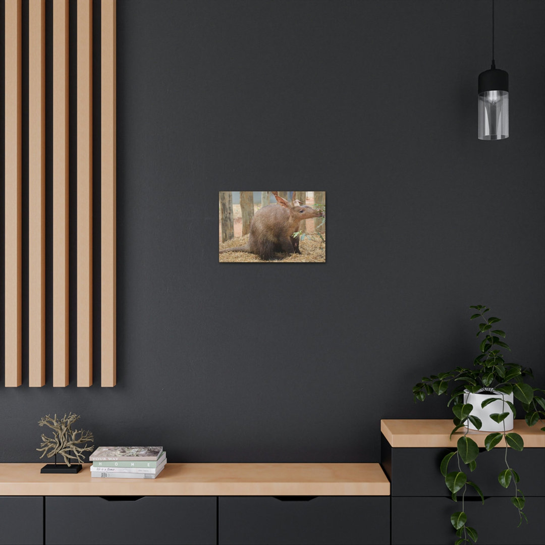 No Frame Print on Canvas