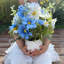 Arrangements floraux mixtes en pot