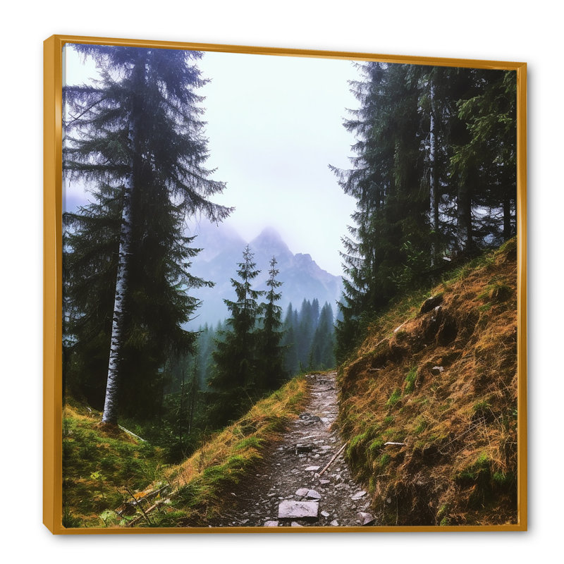 «Mountain Randonnée en été I», reproduction sur toile, Cadre flottant doré, H 24 po x l 24 po x P 1 po