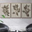 3 pièces Arbor-97758244-97758250