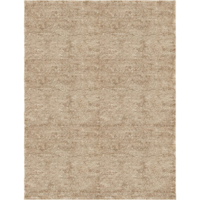 Indoor Rug