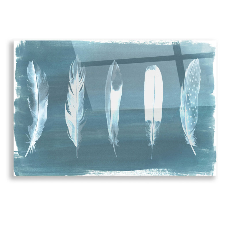 «Feathers On Dusty Teal» par Grace Popp, H 12 po x l 16 po x P 0,13 po