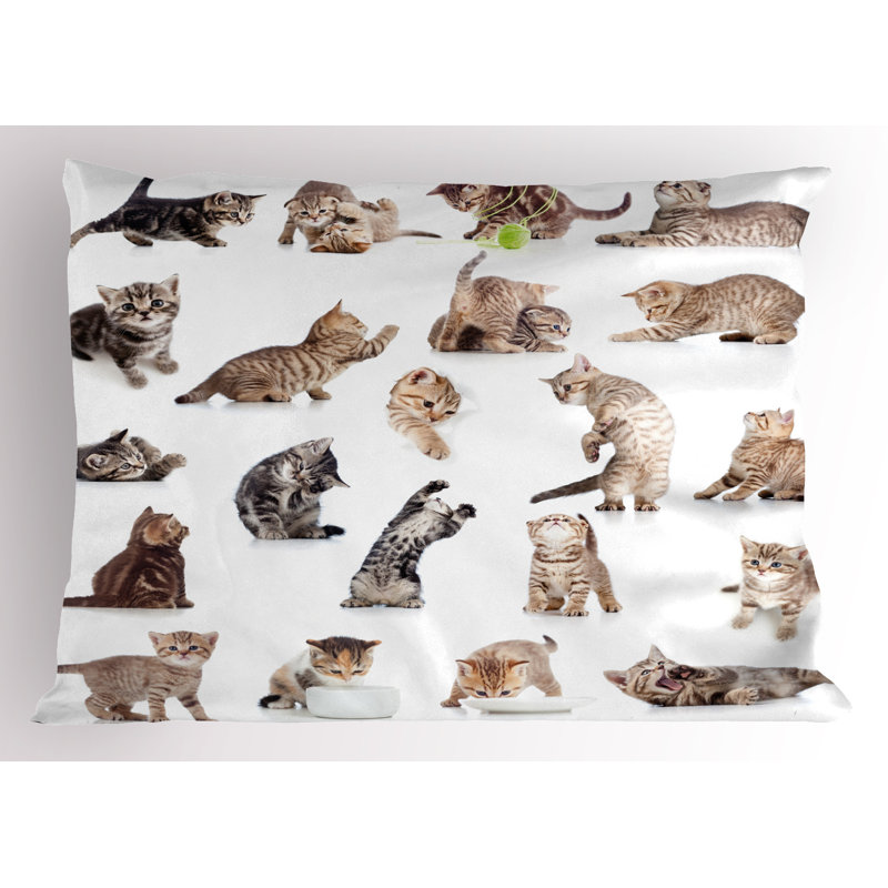 Ensemble de 2 taies décoratives pour chat Ambesonne, H 20 po x l 30 po