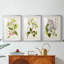 Tree in Bloom IV  -Custom Framed  Premium Print W Matt - 3 Pieces-220193853