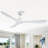 Garuda 56'' 3 - Blade Propeller Ceiling Fan with Remote Control without Lights-825060933