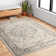 Sagefield Oriental Indoor Rug