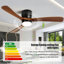 Ventilateur de plafond 42 po avec lumière