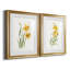 Ochre botanique I - ensemble de 2 reproductions d'art-451386724-450957507-450957518