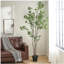 ARBRE À PIERIS 240CMTIFTIFS-954770911