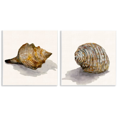  «Neutral Beach Shells» par Jacob Q