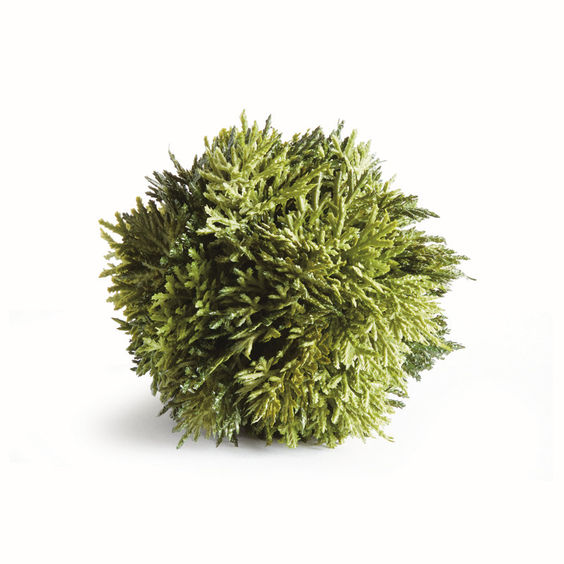 CYPRESS ORB 4.5"