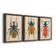 Beetle Bug I - ensemble de 3 peintures sur toile encadrées-1777886079-1777886076