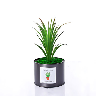 Ins Nordic Simulation Succulent Potted Plant Artificial Green Plant Decoration Ornament Small Biomimetic Plant Desktop Bonsai