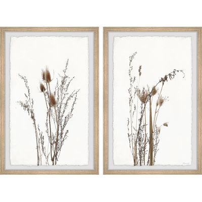 Fleurs d'automne sauvages - Diptyque