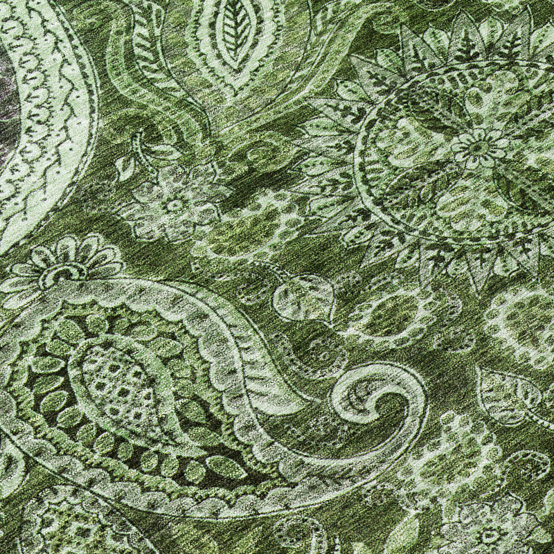 Tapis intérieur / extérieur vert lavable Carmina , 10 pi x 14 pi