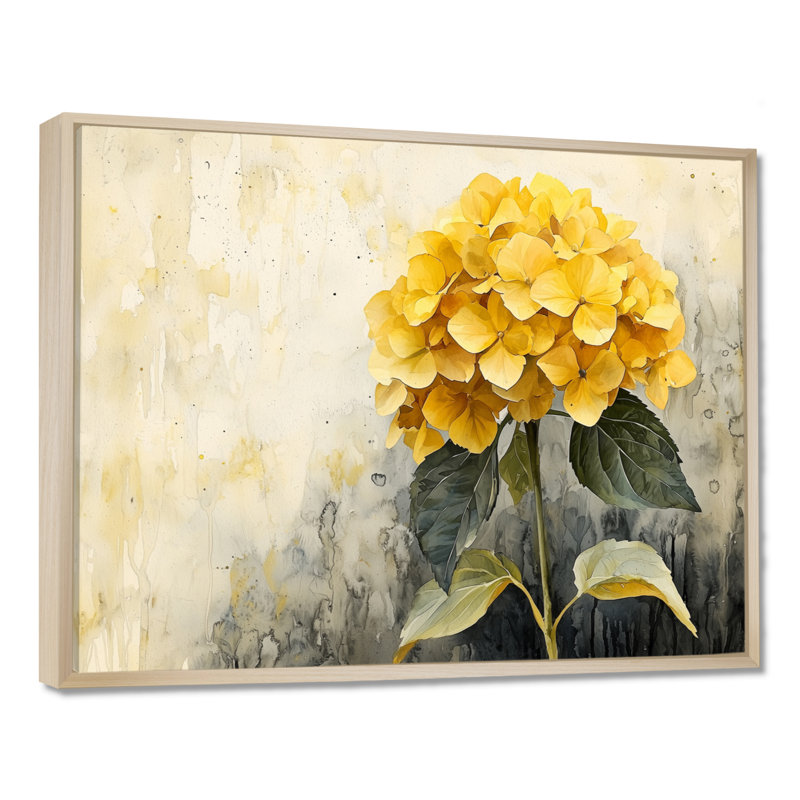 Jaune hydrangée jaune III - art mural hortensia, Impression sur cadre flottant, H 30 po x l 40 po, Crème, crème