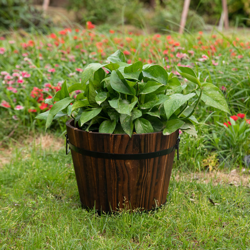 Eugenia Handmade Wood Barrel Planter, 10" H x 12" W x 12" D