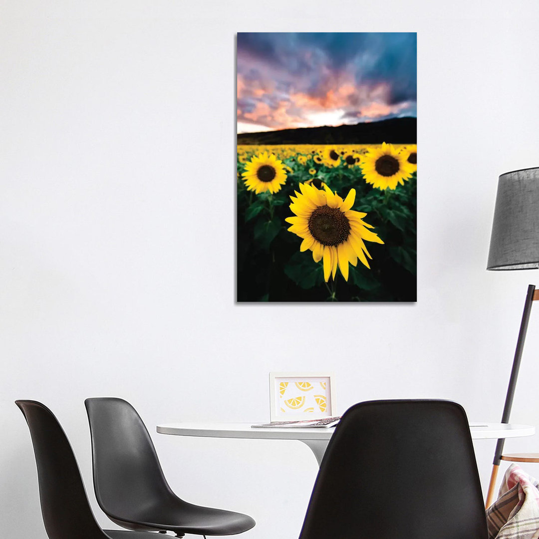 Sunflower Sunset by Lucas Moore - Wrapped Canvas Print