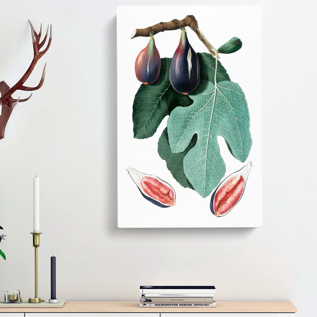 Common Fig Tree by Giorgio Gallesio - Wrapped Canvas