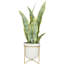Feuillage artificiel floral et botanique Cole and Gray