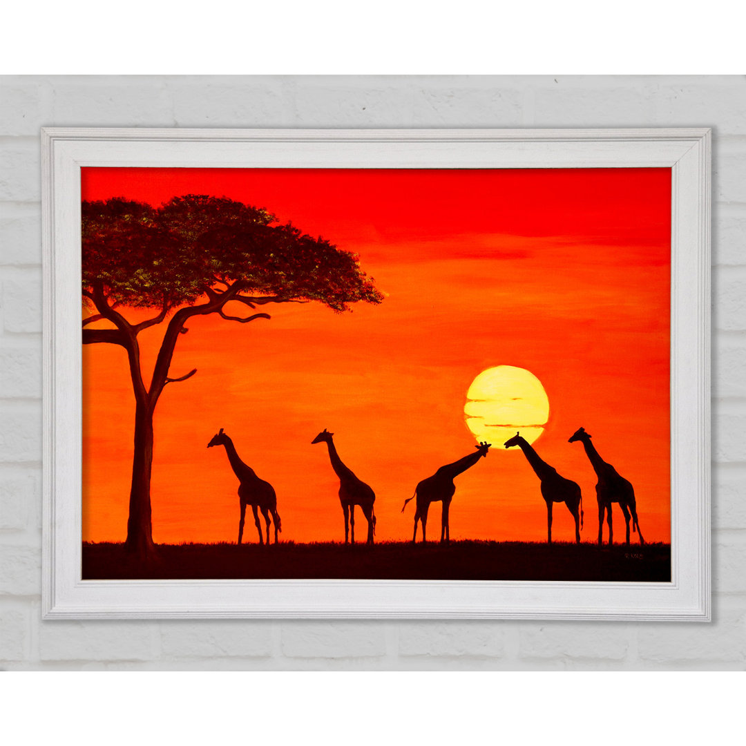 Giraffen bei Sonnenuntergang - Einzelne Bilderrahmen Kunstdrucke