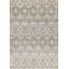 Hand Woven Cotton Area Rug