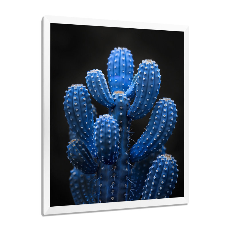 Cactus bleu clair et noir clair de lune - Cactus floral, Toile encadrée blanche avec une seule photo