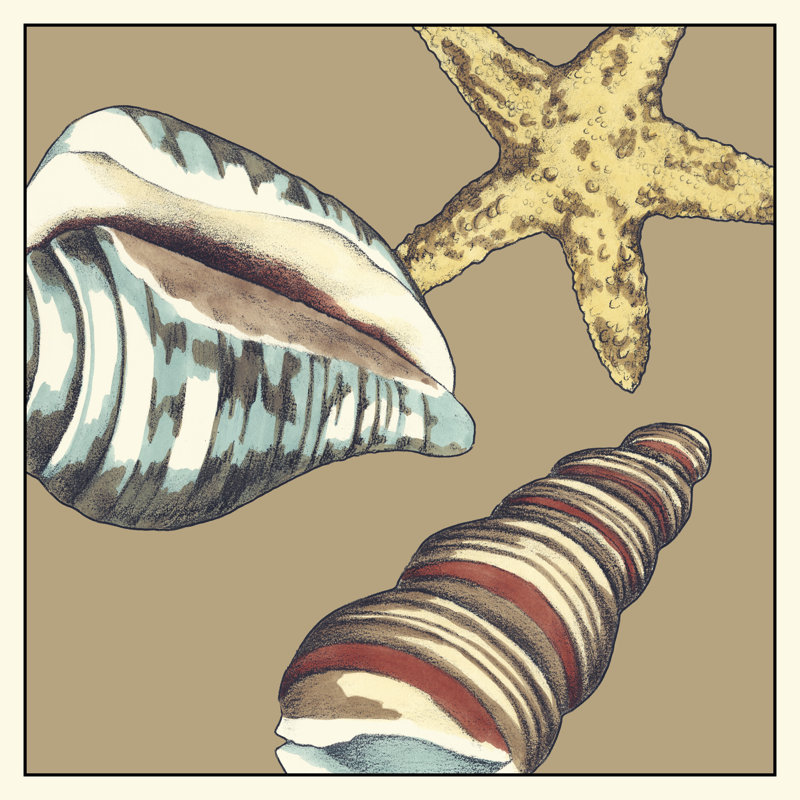 Shell Trio on Khaki I by Megan Meagher - 1 Piece Wrapped Canvas Wall Art, 30cm H x 30cm W x 3.8cm D