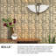 Bolla 2 - Light 16.8" Unique/Statement Bowl LED Semi Flush Mount-196642161-196642162-196642163