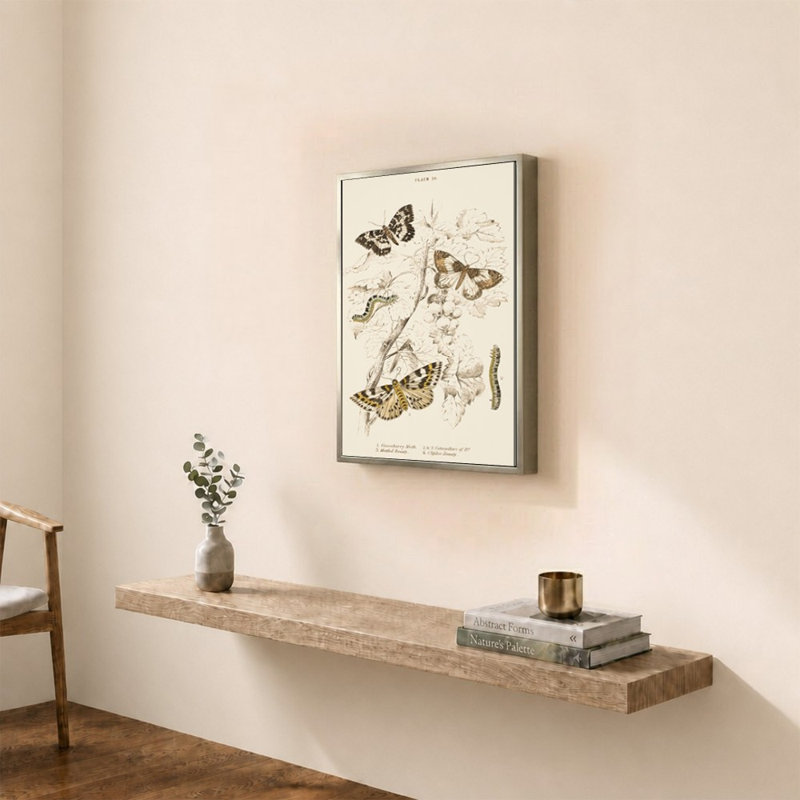 Mariposas II par V. Larkspar - Impression sur toile
