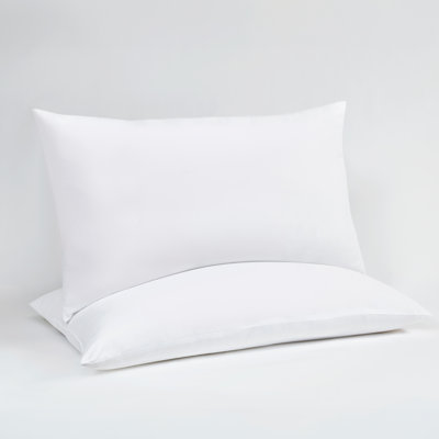 Ensemble de 2 oreillers moelleux