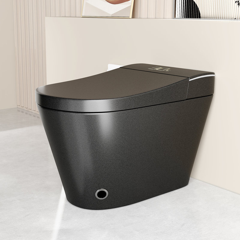 Camber Unique Smart Toilet with Bidet, Auto Open Close Seat, Warm Water Wash & Dryer, Black