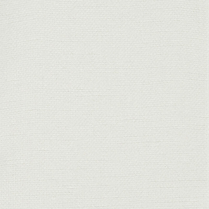 Perfect Plains Polyester Fabric, Dark White